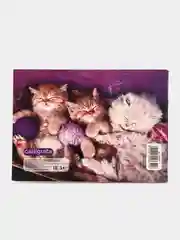 Альбом для рисования А5, 24 листа на скрепке "Милые котята"