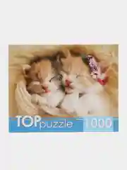 Аметистовый пазл 1000 элементов