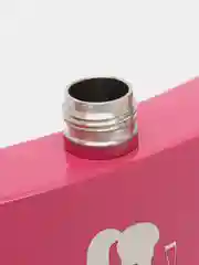 Коралловый меланж фляжка для дам 230 мл