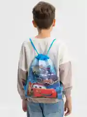 Ледяной мешок для сменной обуви