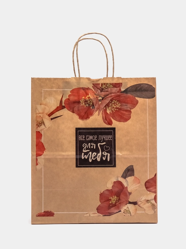 Пакет с кручен. ручками "Мечтай", крафт 80 г, 250*220*120