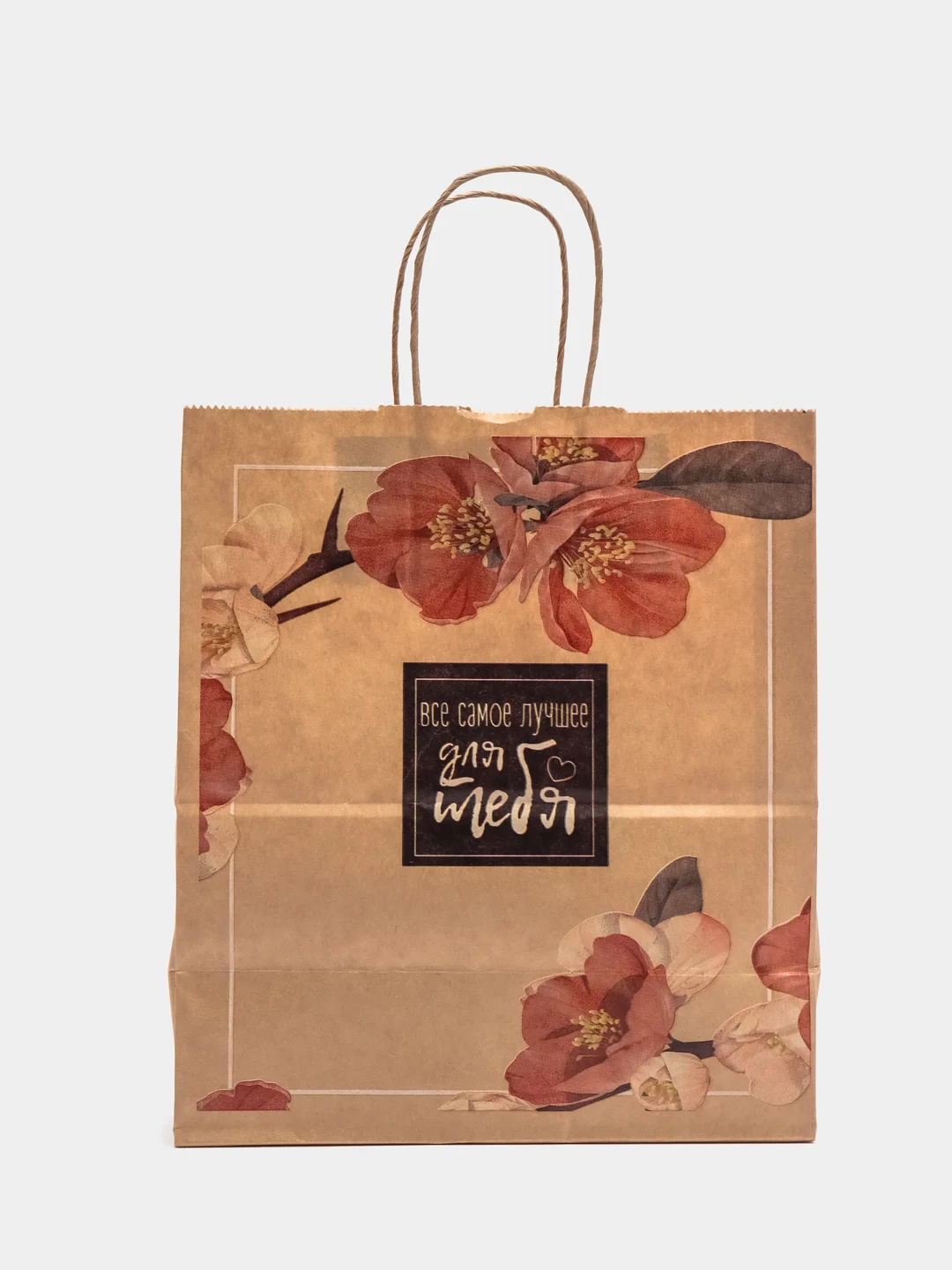 Алый пакет с кручен. ручками "Мечтай", крафт 80 г, 250*220*120
