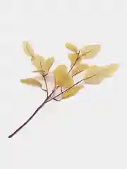Желтый веточка эвкалипта, искусственные цветы