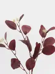 Красный веточка эвкалипта, искусственные цветы