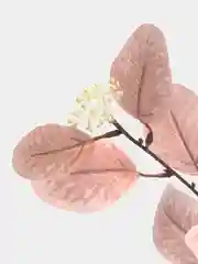 Розовый веточка эвкалипта, искусственные цветы