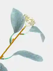 Светло-синий веточка эвкалипта, искусственные цветы
