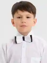 Черный бабочка