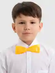 Желтый бабочка