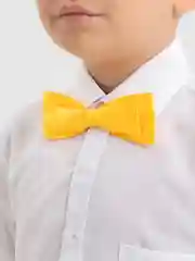 Желтый бабочка