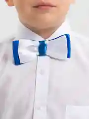 Индиго бабочка