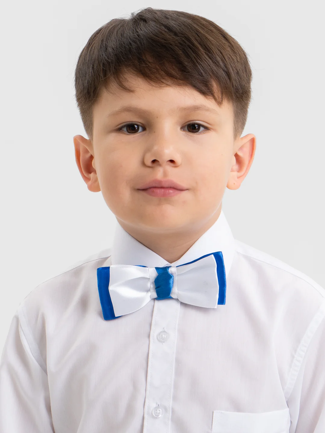 Индиго бабочка