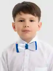 Индиго бабочка