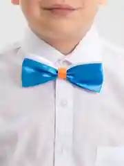 Синий бабочка