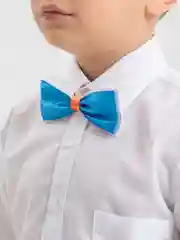 Синий бабочка
