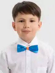 Синий бабочка