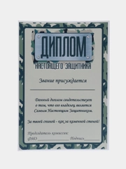 Диплом настоящего защитника, формат А4