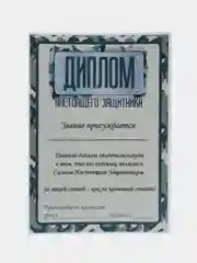 Диплом настоящего защитника, формат А4