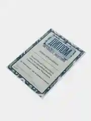 Диплом настоящего защитника, формат А4