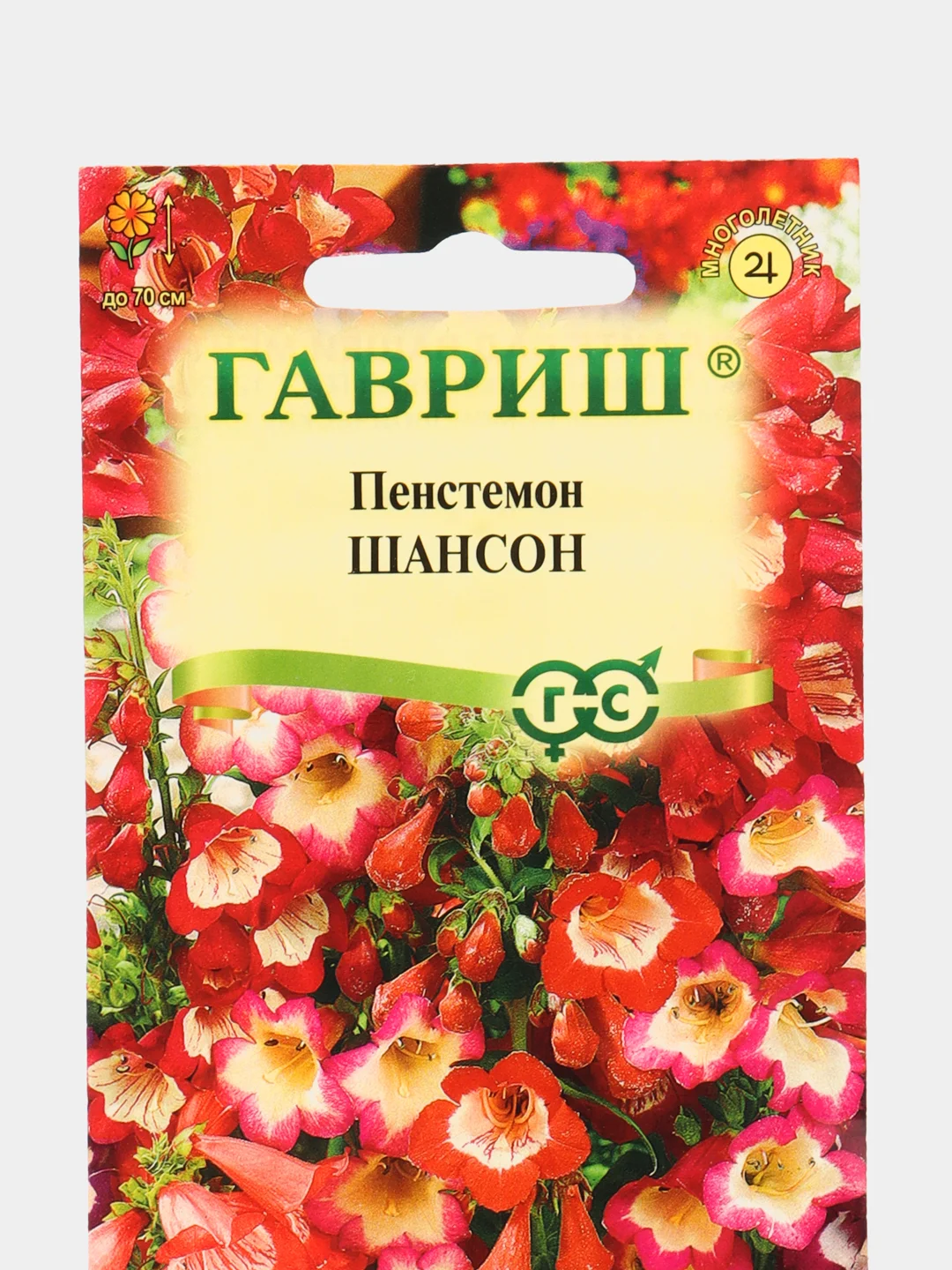 Пенстемон Хартвига Шансон (семена,цветы)