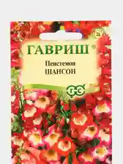 Пенстемон Хартвига Шансон (семена,цветы)
