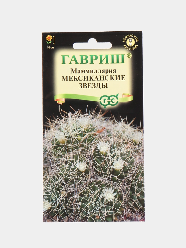 Маммиллярия Камптотриха, Кактус, Мексиканские звезды, семена, цветы