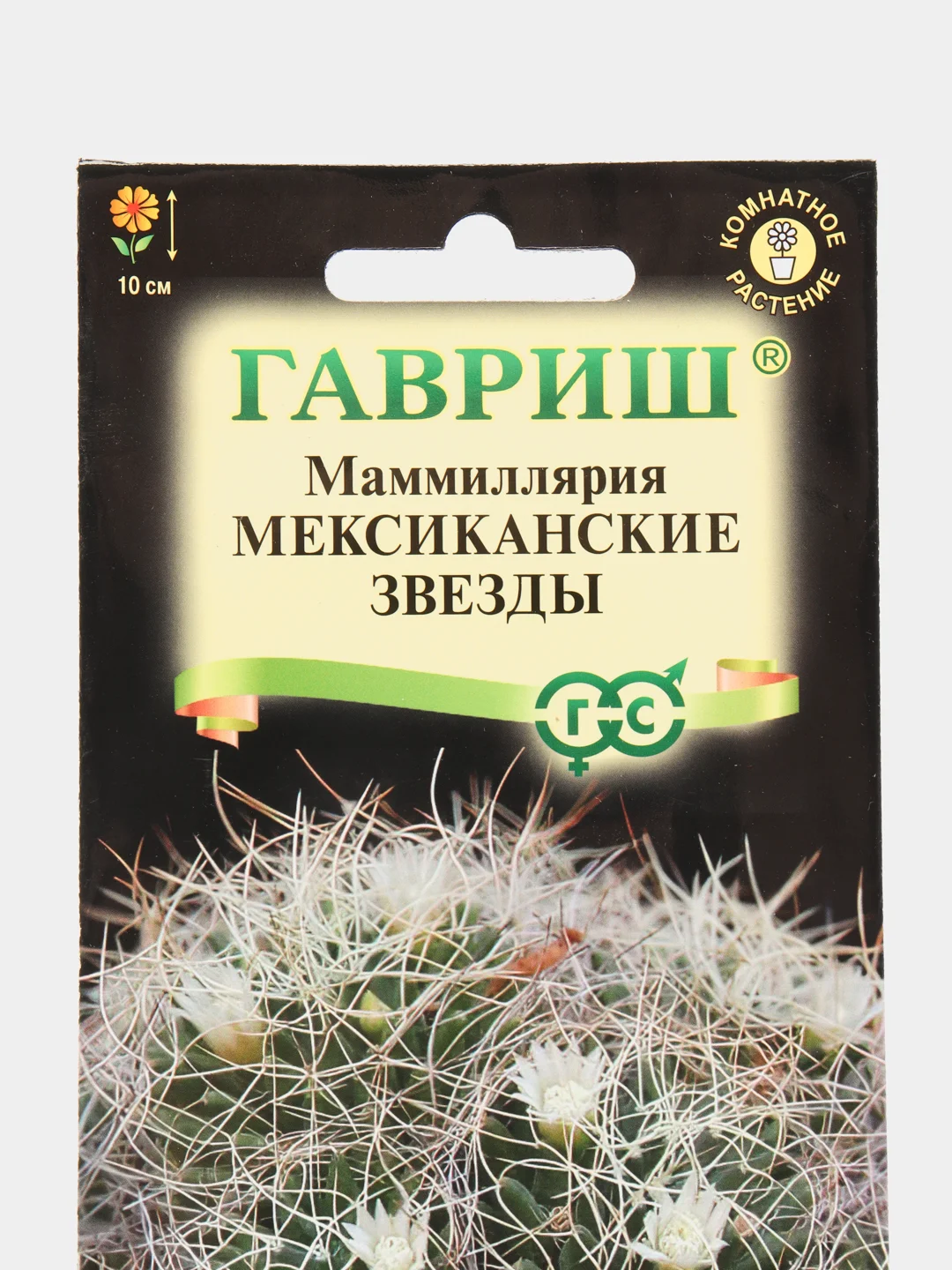 Маммиллярия Камптотриха, Кактус, Мексиканские звезды, семена, цветы