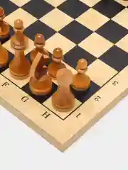 Шахматы большие 3 в 1