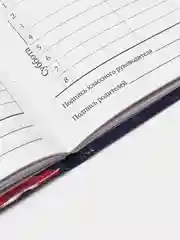 Дневник школьный для старших классов для девочки 48 листов твердый, 106621