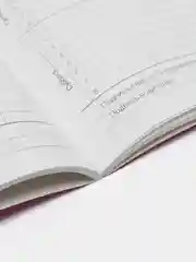 Розовый дневник школьный, 1-11 класс