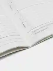 Зеленый дневник школьный, 1-11 класс