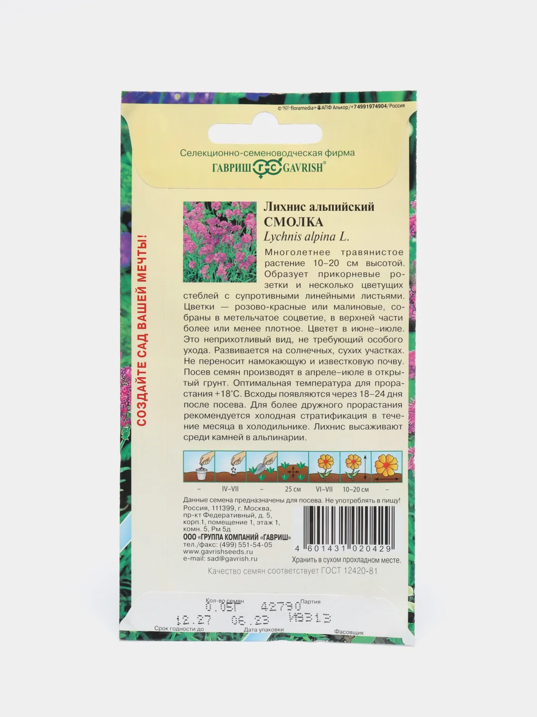 Лихнис альпийский Смолка, семена, цветы
