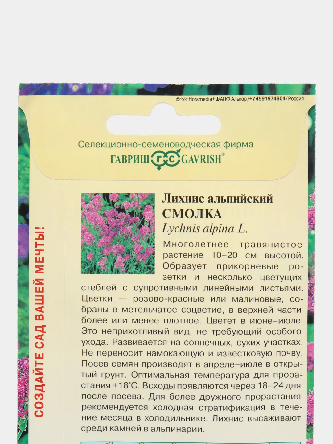 Лихнис альпийский Смолка, семена, цветы