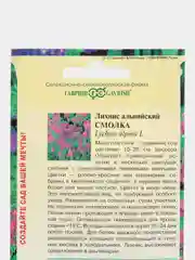Лихнис альпийский Смолка, семена, цветы