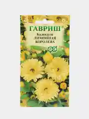 Календула "Лимонная королева", семена, цветы