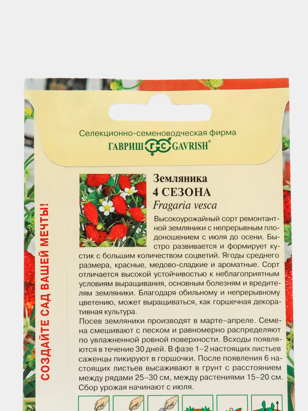 Земляника Четыре сезона, семена