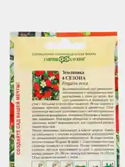 Земляника Четыре сезона, семена