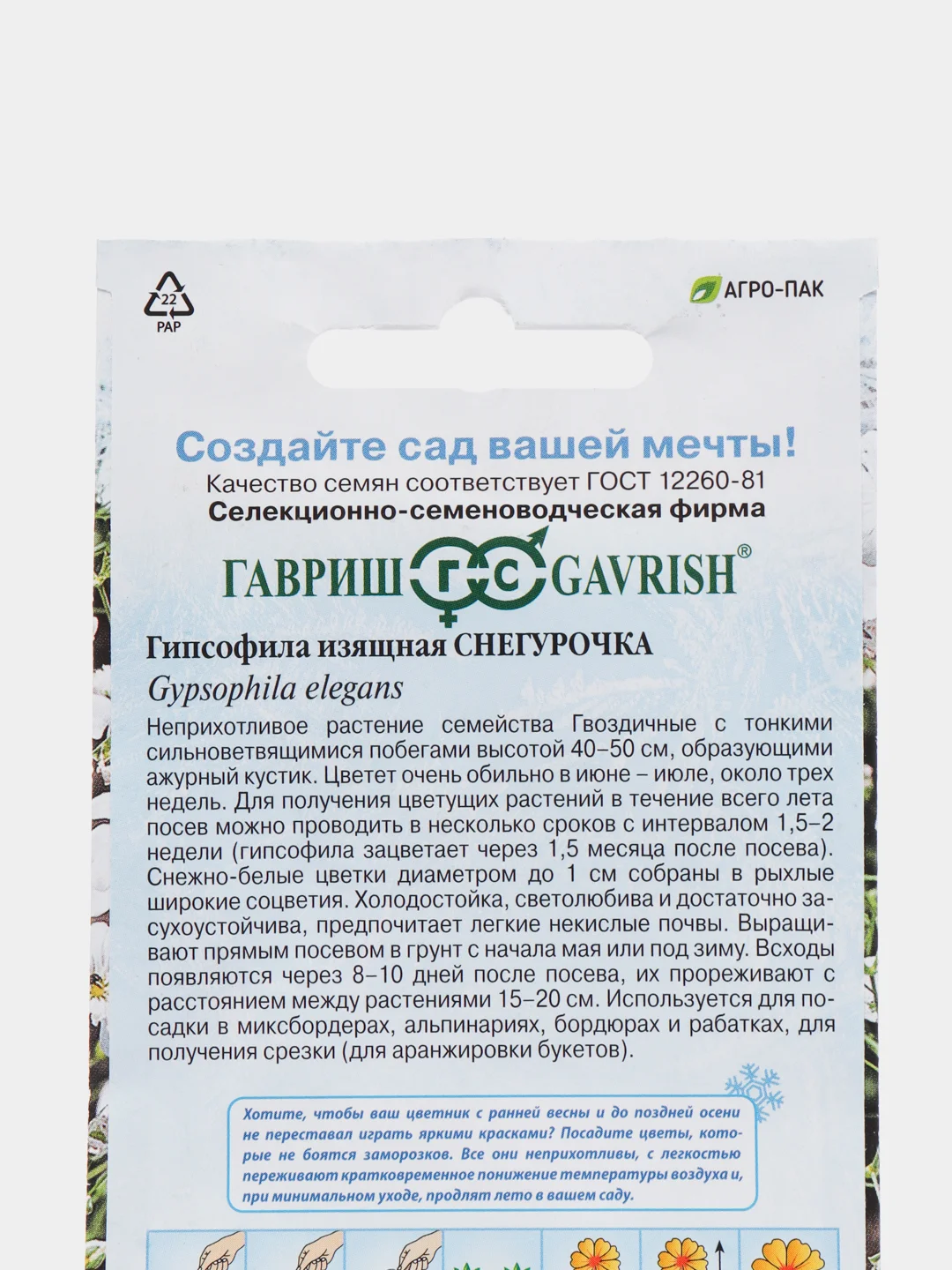 Гипсофила изящная "Снегурочка", семена, цветы