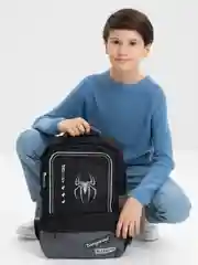 Рюкзак школьный для мальчика Brauberg Star, 1 отделение, 5 карманов, Spider, 229978