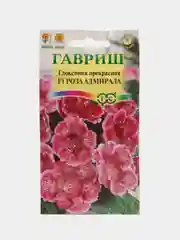 Глоксиния прекрасная Роза адмирала, семена, цветы
