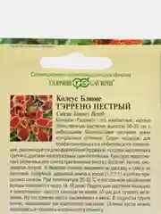 Колеус Тэррено пестрый, семена, цветы