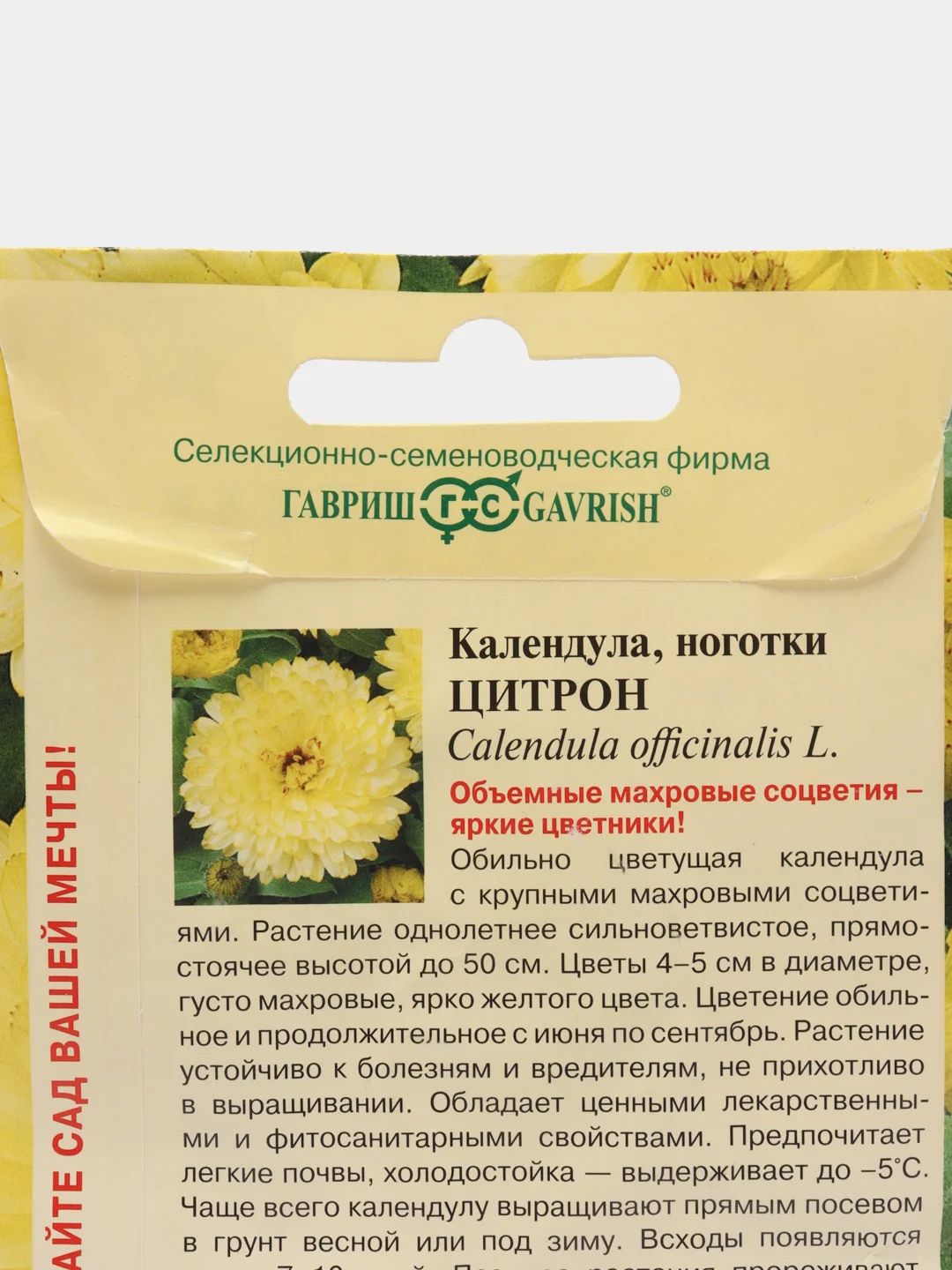 Календула Цитрон, семена, цветы