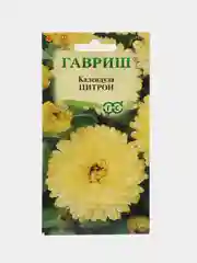 Календула Цитрон, семена, цветы