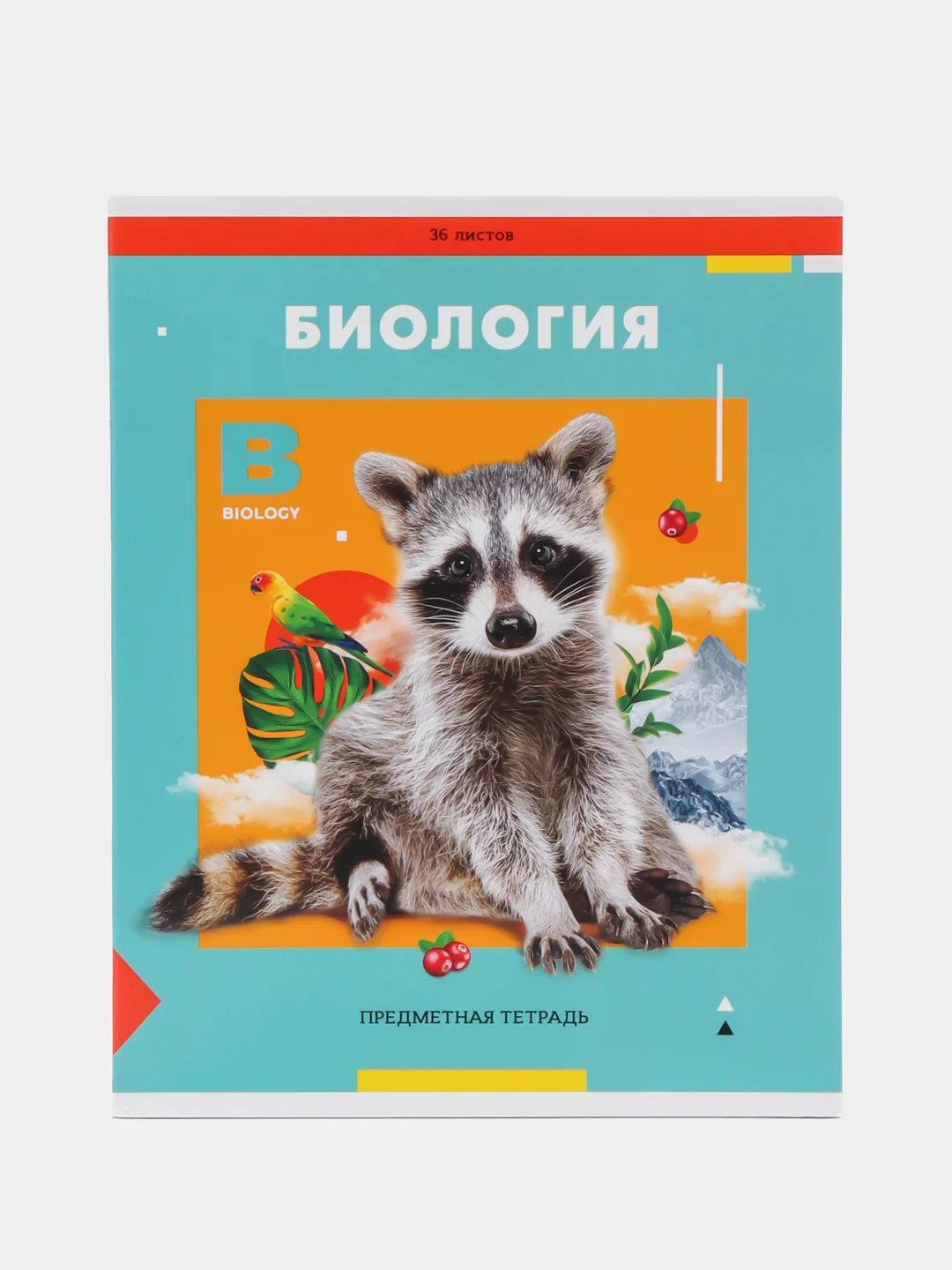 Бирюзовый тетрадь предметная "Пять в квадрате"