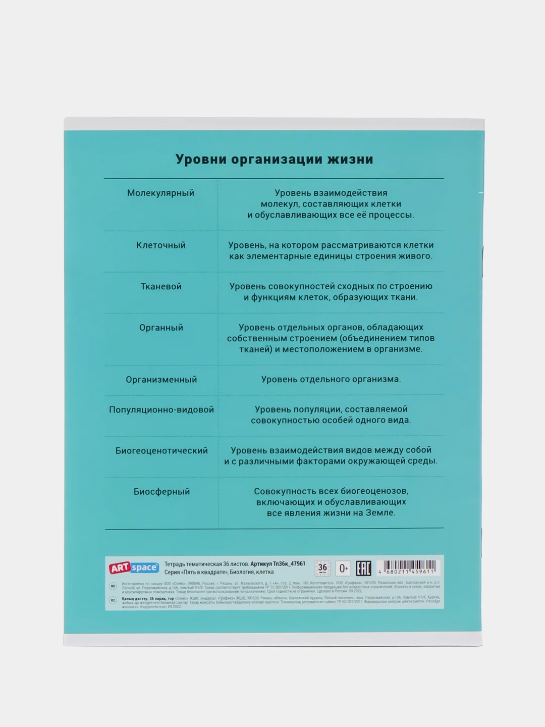 Бирюзовый тетрадь предметная "Пять в квадрате"