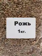 РОЖЬ 1кг. в пакете PLANT!T