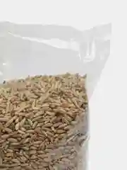 РОЖЬ 1кг. в пакете PLANT!T