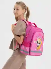 Рюкзак школьный, для девочки "Пифагор" School, 1 отделение, 3 кармана, Squirrel, 271404