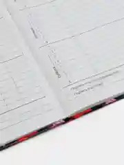 Рыжий дневник школьный, твердая обложка, 1-11 класс