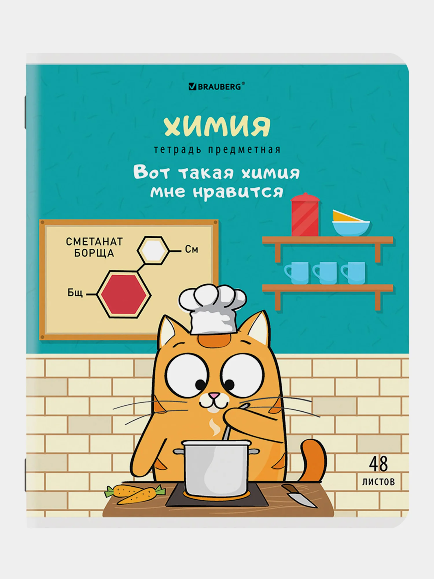 Тетради предметные школьные со справочным материалом, 48 листов Brauberg 404609