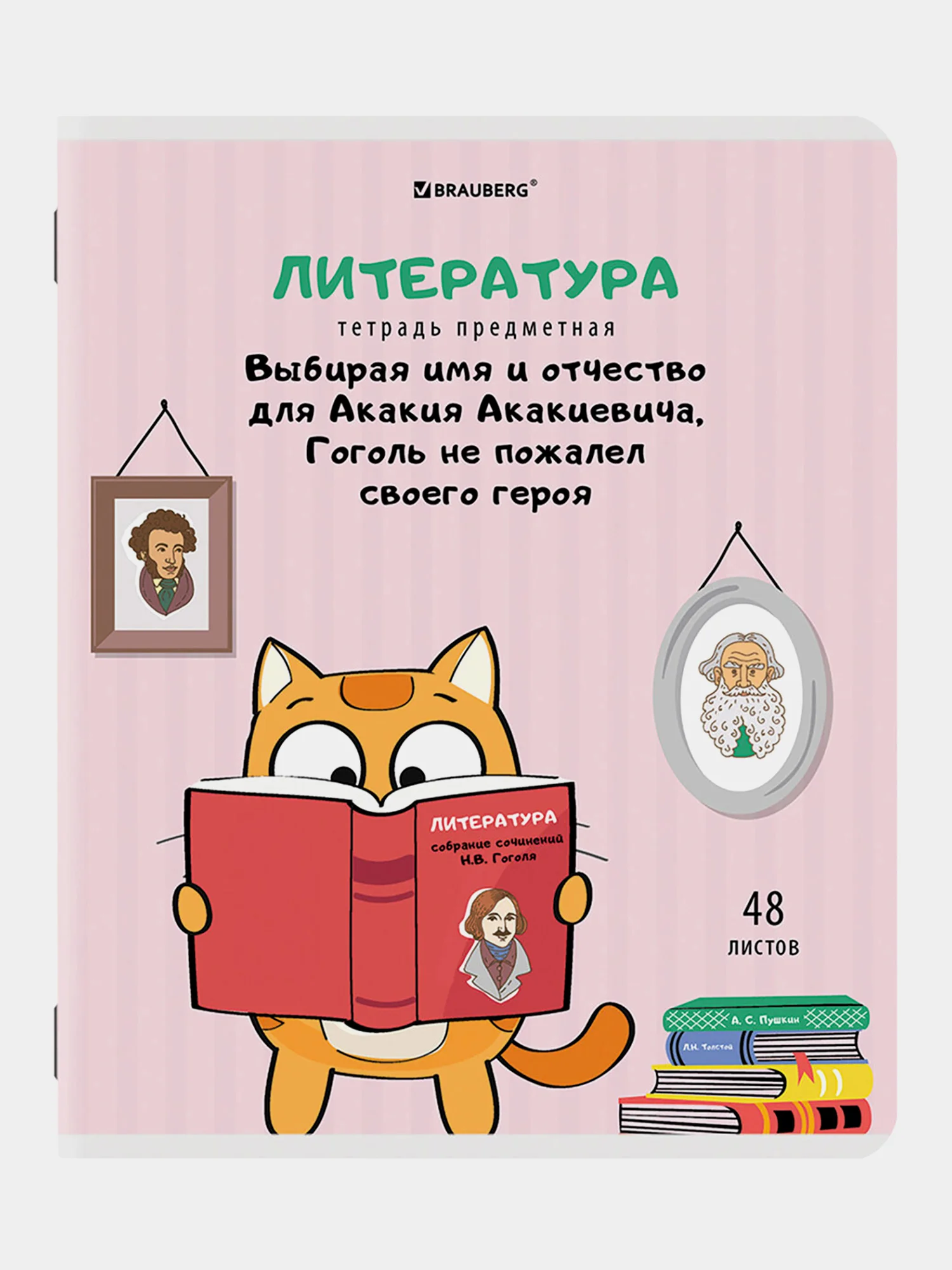 Тетради предметные школьные со справочным материалом, 48 листов Brauberg 404609